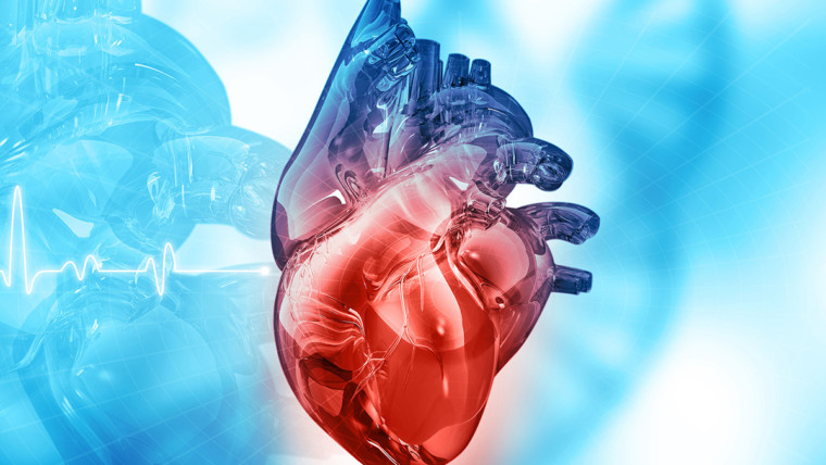 هل عملية القسطرة القلبية خطيرة ؟ وأسباب إجراءها؟