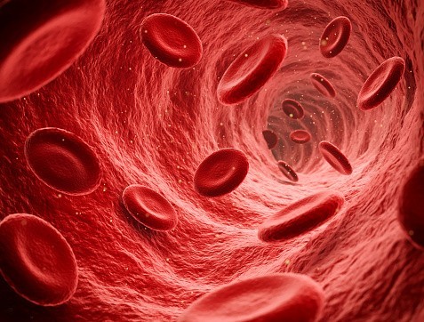 علاج ضعف الأوعية الدموية